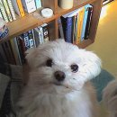 만수1동-13 이미지