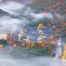 하늘테라스관광펜션 이미지