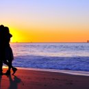 아산행정사사무소 이미지