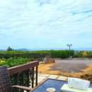 별 헤는 밤 200 이미지