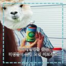 가평친환경미생물배양센터 이미지