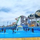 혁신이지태권도전주본관 이미지