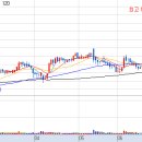 11530-07-07 이미지