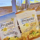 리즈약국 | 태국 여행 기념품 프로폴리즈 목관리 꿀템 방콕 쇼핑 리스트