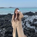 모노브로수완
