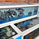 달성횟집식당 이미지