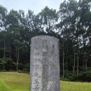 경기묘 | [경기여행/성남] 아픈 역사와 함께한 이경석의 묘