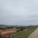 선산대로-33 이미지