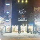 포레스트스파 이미지