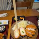 서초구립 서울교육대학교사향 | 서울 교대역 돈까스 맛집 가성비 좋은 냉우동 점심 저녁 혼밥 코시 교대점