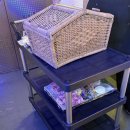 돼지블라썸 | [강서구] 뷰맛집 블라썸 바베큐장 후기