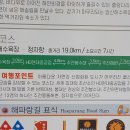 2차산업단지(대로3-55) | 울산 해파랑길 9코스 일산해수욕장에서 정자항까지 5시간 소요 완주 후기