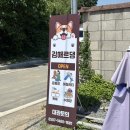 호계로 | 부산근교 김해 실내 중형견 대형견 애견카페 애견운동장장 김해르댕 솔직후기