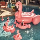 써니라이프 이미지