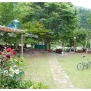 동강대자연 이미지