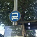 난곡동-45 | [신림 난곡] 풍성하고 예쁜 꽃다발 ‘꽃코지‘ 꽃집 추천 솔직후기