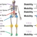 비타민휘트니스 13호점 이미지