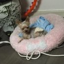 한양종합동물병원 이미지