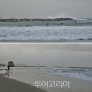 봄의언덕 이미지