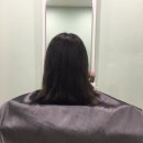 제이플붙임머리 | 명지대 미용실 제이플붙임머리 추천