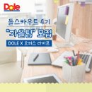 돌이네청과