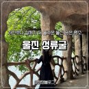 울진 가볼만한곳 추천, 성류굴 포토존부터 동굴탐험 후기까지