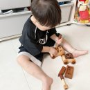 자동차공구 | 30개월 아기 장난감 숲소리 공구자동차 후기