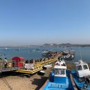 포항회가든 | 서산 삼길포항 회 소라 포장 후기