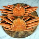 🦀🦀회원의날 후포대게축제에 대게 드시러 오세요~ 이미지