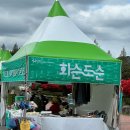 GS25 화순칠충로점 | 화순봄꽃축제 진심후기 (4.18다녀옴) 사진이 많진않음