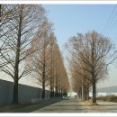 손바닥공원 족구장 Daum카페