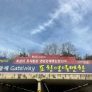 바다부채길2 | 1.5 정동진 바다부채길 및 볼거리 솔직후기