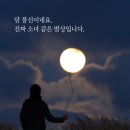 남원댁 Daum카페