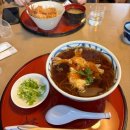 주식회사숲나무 | 삿포로 비에이 버스투어 업체 추천 흰그림자투어 코스 및 내돈내산 후기