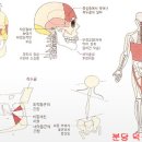 덕윤한의원 네이버블로그