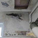 광주007 | 광주 누수탐지 아파트 천장 온수배관 누수 해결 후기