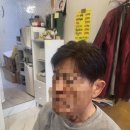 모두스가발
