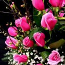 들꽃향기 이미지