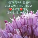 이사야 53 장2절 그는 주 앞에서 자라나기를 연한 순 같고 마른 땅에서 나온 줄기 같아서 고운 모양도 없고 풍채도 없은즉 우리의 보기에 흠모할만한 아름 이미지