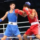 1994복싱 이미지