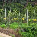 상학농장 이미지