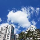 대림부동산 앞 이미지