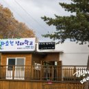 자호천생태학교 이미지
