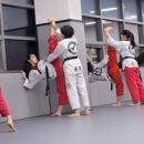 늘봄태권도 이미지