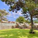 베스트 애견 이미지