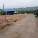 궁평농장 이미지