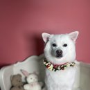 양덕동275 이미지