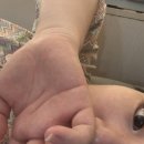 청주미즈맘산부인과의원 이미지