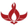 세라핌모아 이미지