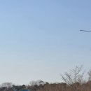 부산광역시 사하구 견인보관소 | 부산 아기와 가볼만한 곳: 을숙도 낙동강하구 에코센터 완벽 여행 가이드